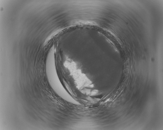 X0000060220919200511181208