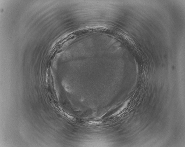 X0000060220920200511181208
