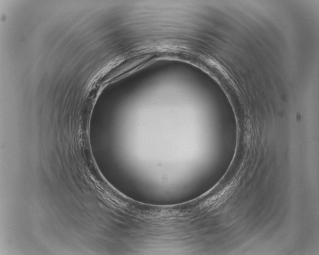 X0000060220922200511181208