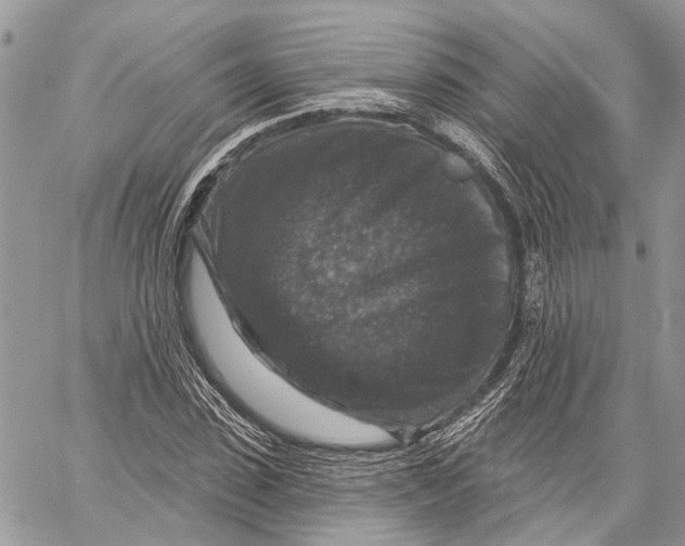 X0000060220923200511181208