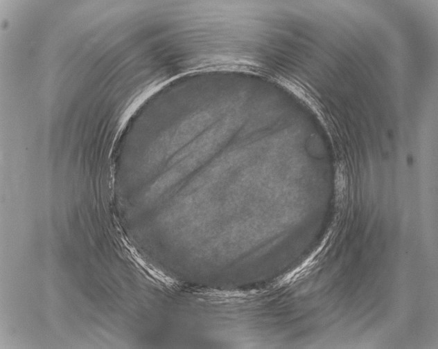 X0000060220925200511181208