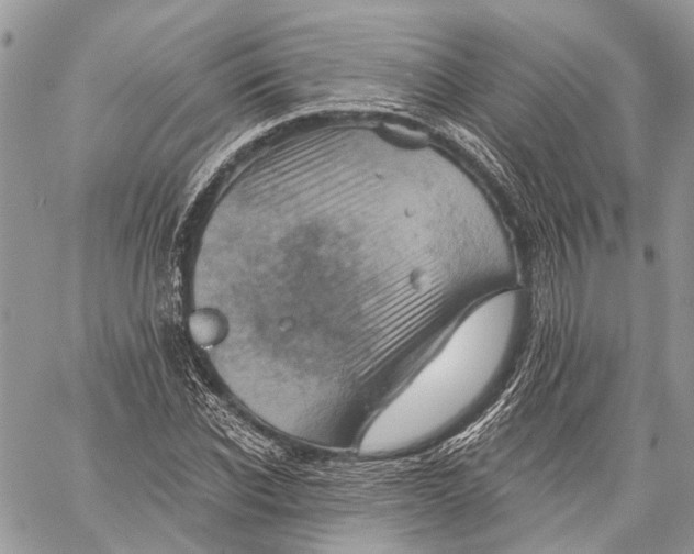 X0000060220926200511181208