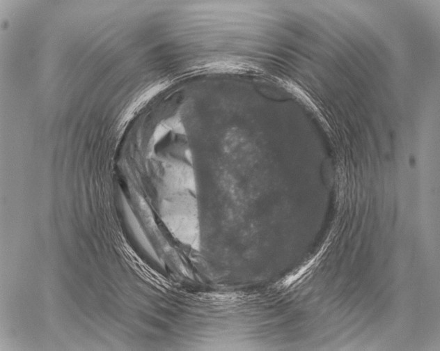 X0000060220930200511181209
