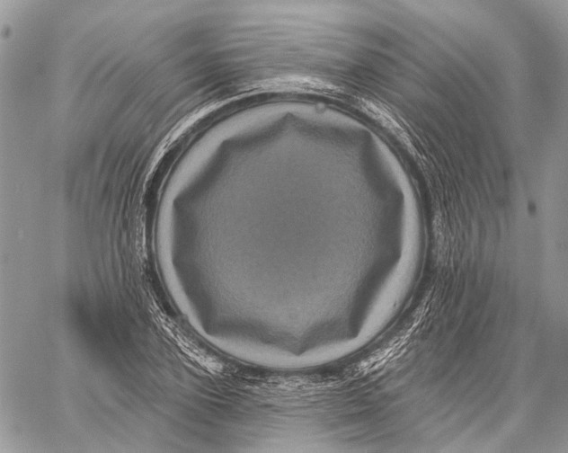 X0000060220931200511181209