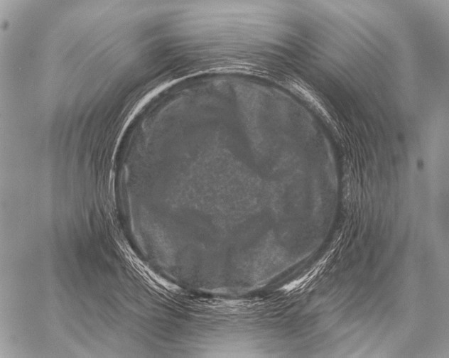 X0000060220932200511181209