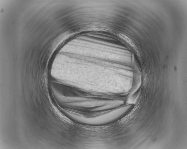 X0000060220942200511181209