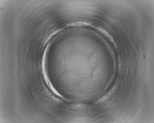 X0000060220945200511181209