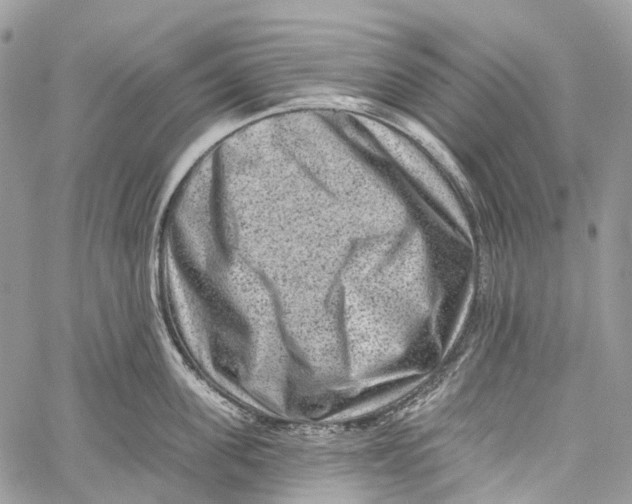 X0000060220955200511181209
