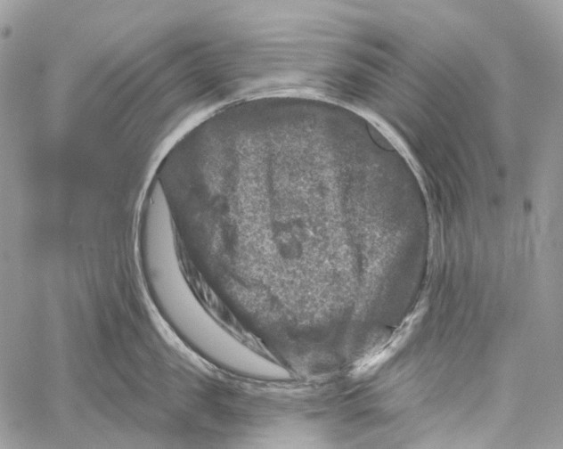 X0000060220957200511181209