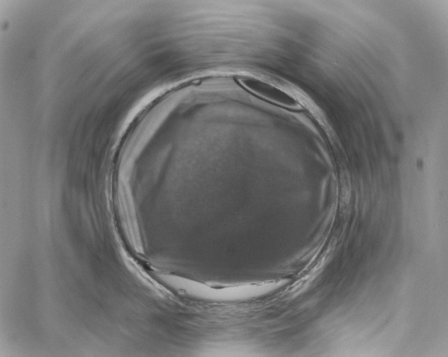X0000060220958200511181209