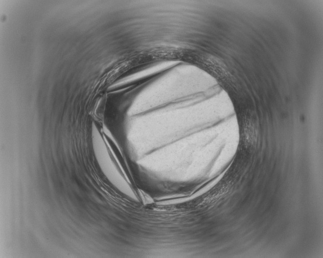 X0000060220964200511181208