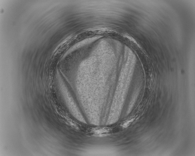 X0000060220967200511181208