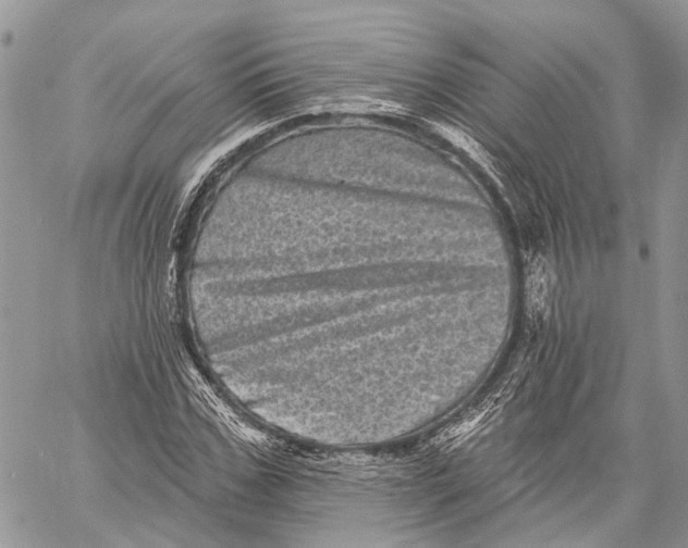 X0000060220971200511181208