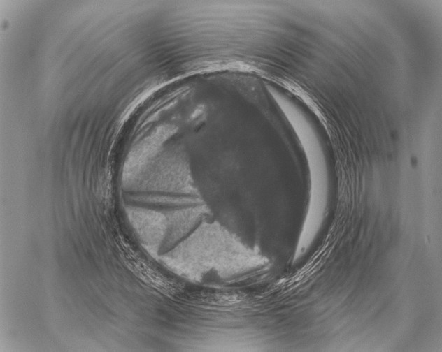 X0000060220975200511181208