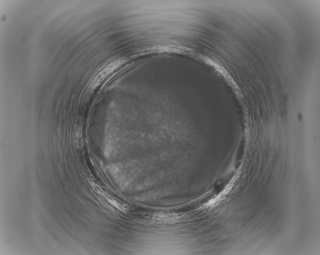 X0000060220977200511181208
