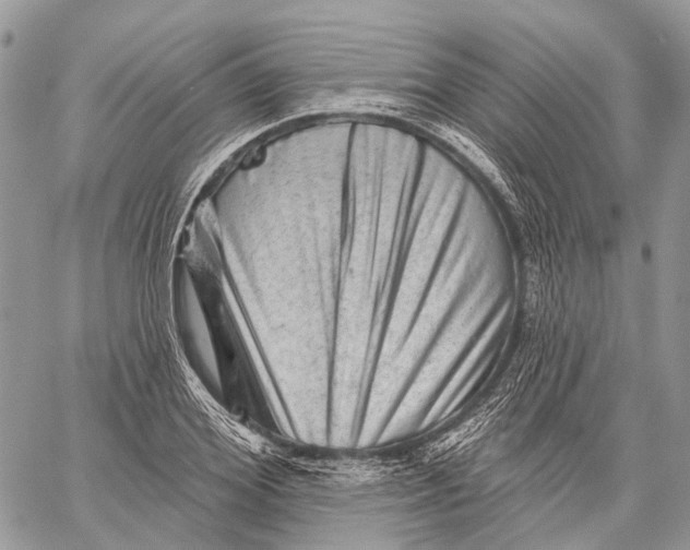 X0000060220980200511181208