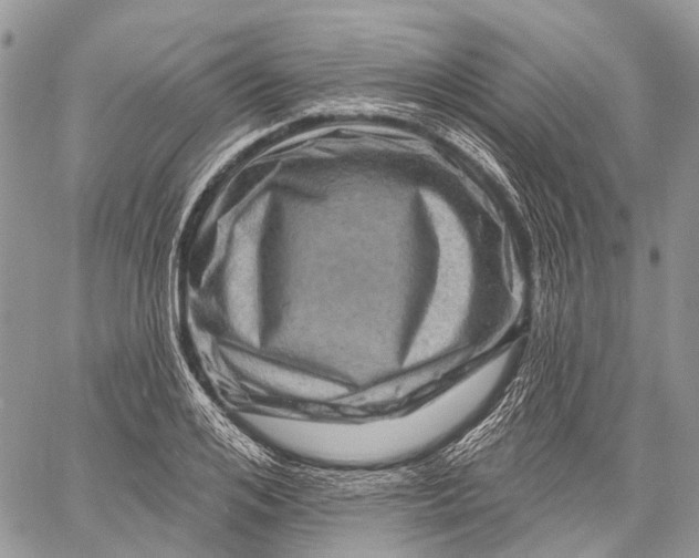 X0000060220984200511181208