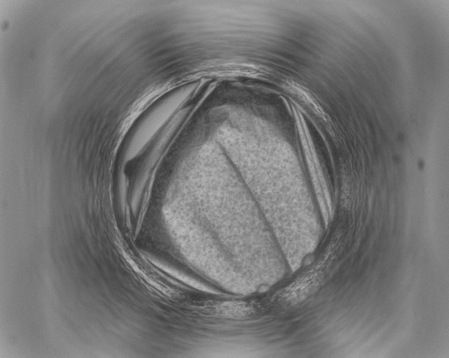 X0000060220986200511181208