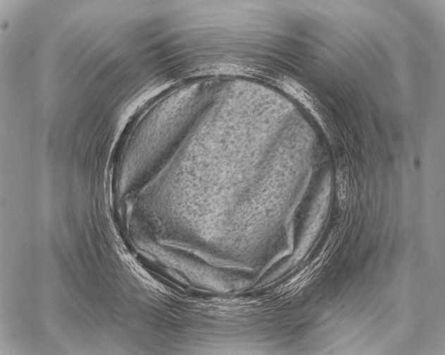 X0000060220987200511181208
