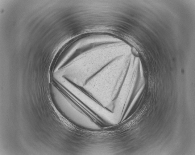 X0000060220988200511181208
