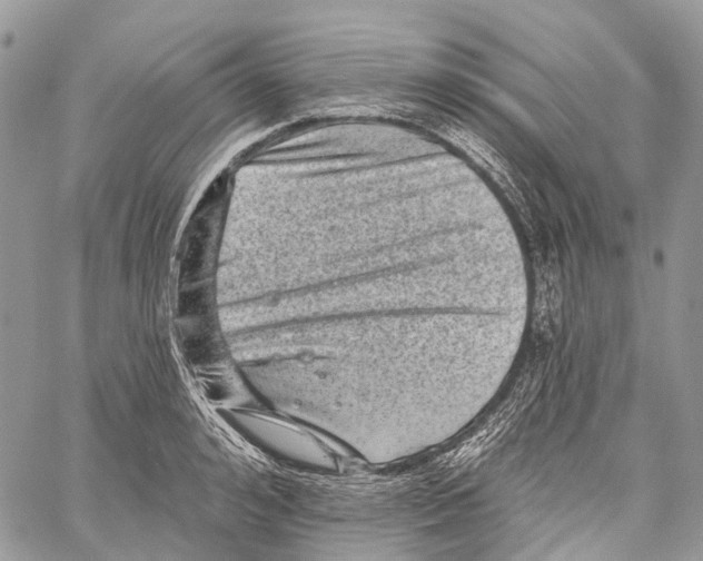 X0000060220992200511181208