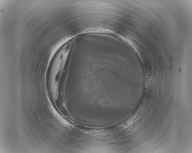 X0000060220995200511181208