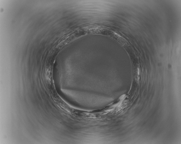 X0000060221010200511181207