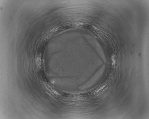 X0000060221011200511181207