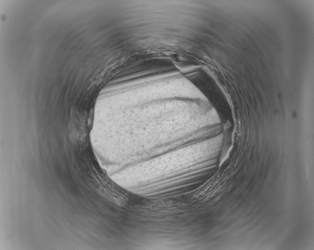 X0000060221012200511181207