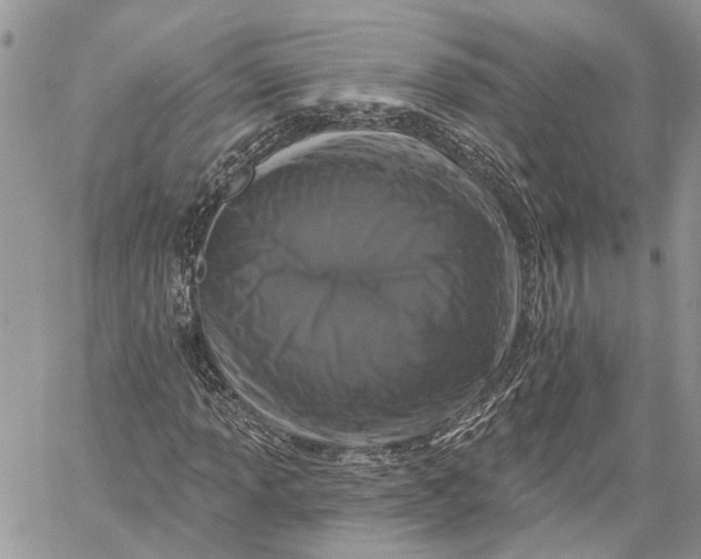 X0000060221013200511181207