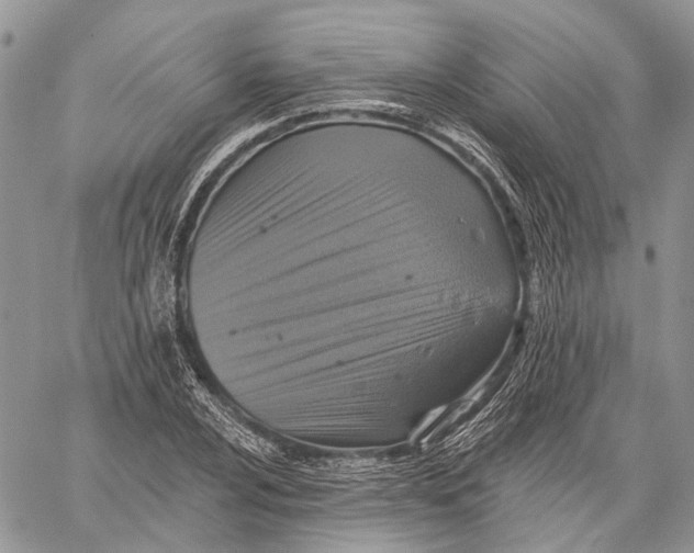 X0000060221024200511181207