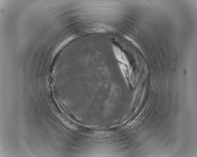 X0000060221026200511181207