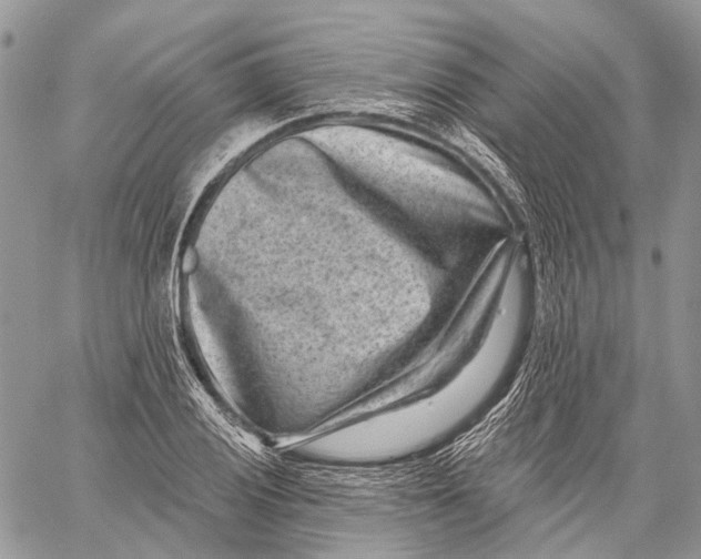 X0000060221028200511181207