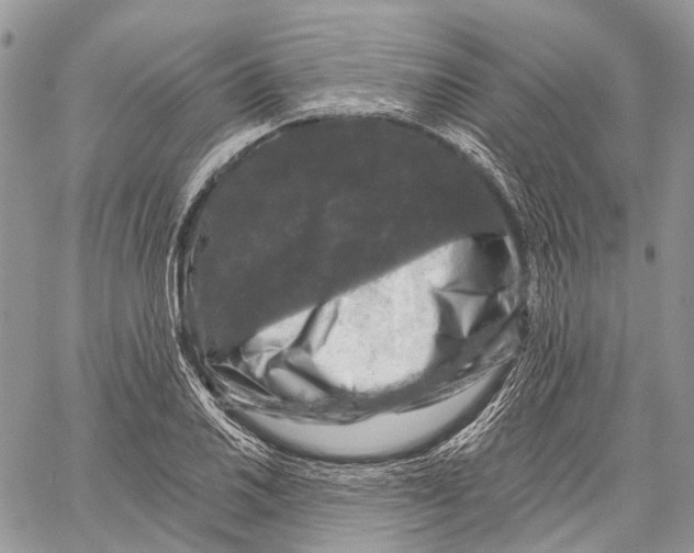 X0000060221030200511181207