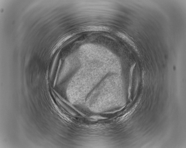 X0000060221033200511181207