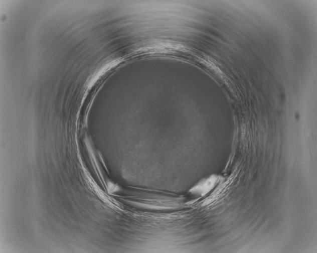 X0000060221034200511181207