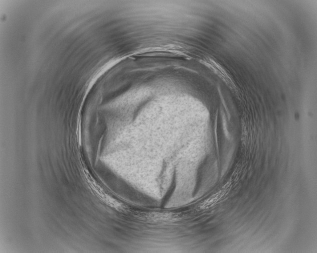 X0000060221036200511181207