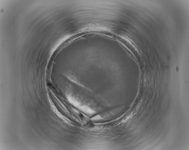 X0000060221038200511181207