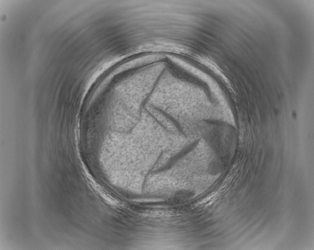 X0000060221040200511181207