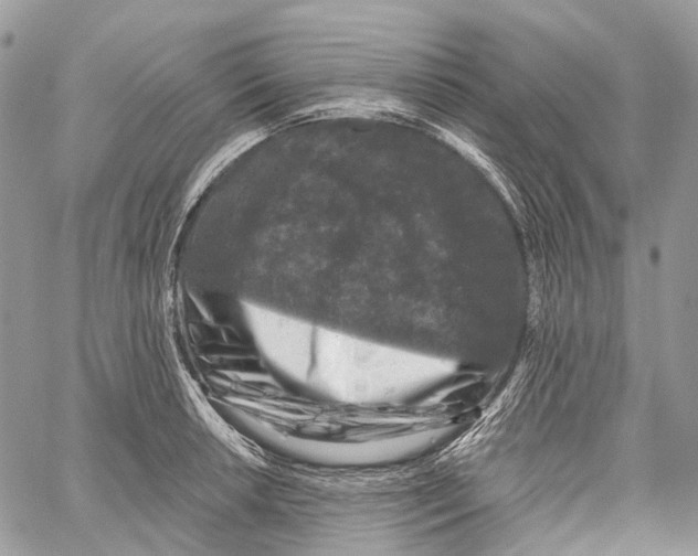 X0000060221042200511181207