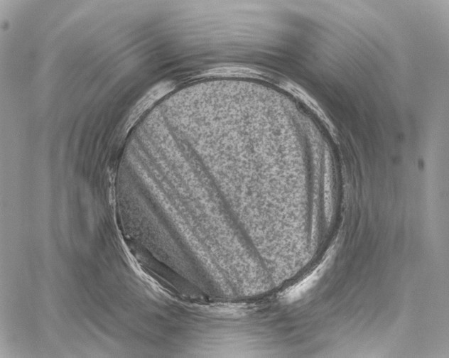 X0000060221049200511181207