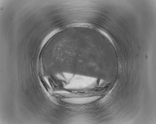 X0000060221050200511181207