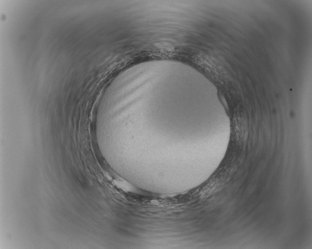 X0000060221057200511181207