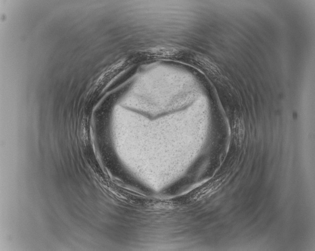 X0000060221058200511181207