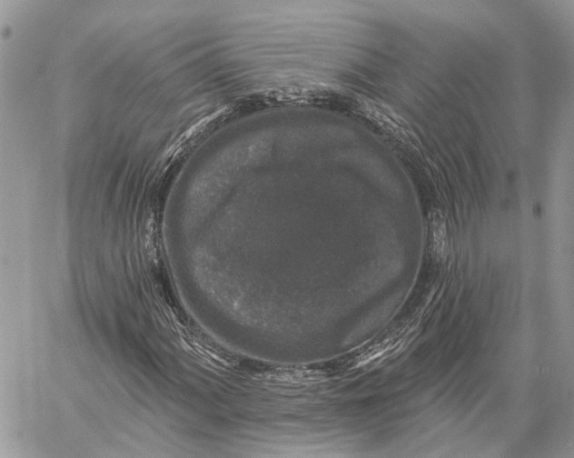 X0000060221060200511181207