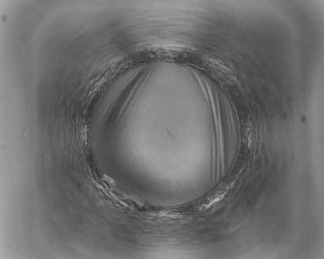 X0000060221061200511181207