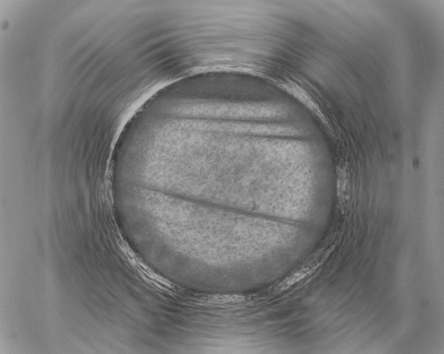 X0000060221068200511181207