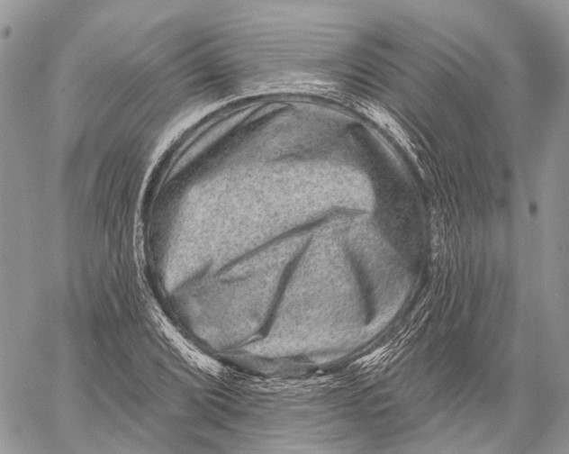 X0000060221072200511181206