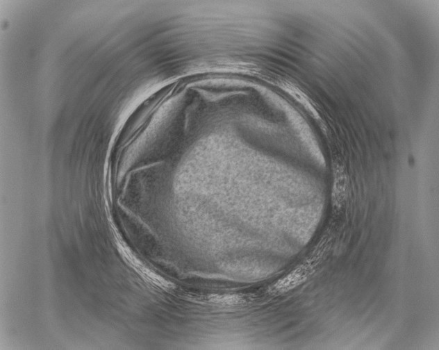 X0000060221080200511181206