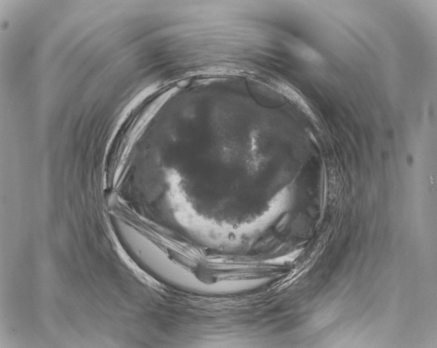 X0000060221095200511181206